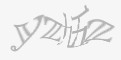 安全码