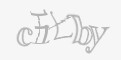安全码