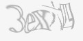 安全码