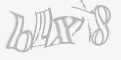 安全码