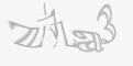安全码
