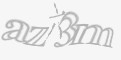 安全码