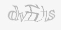 安全码