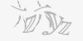 安全码